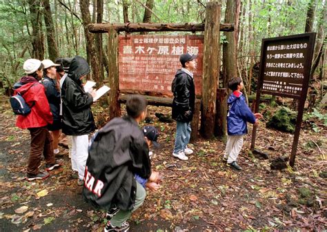 suicide forest